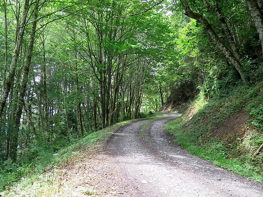 Medford rd Skagit county - 12