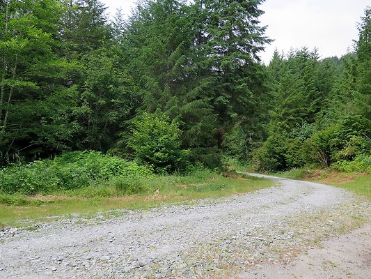 Medford rd Skagit county - 3