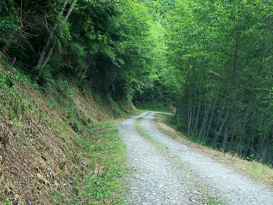 Medford rd Skagit county - 30