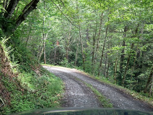 Medford rd Skagit county - 35
