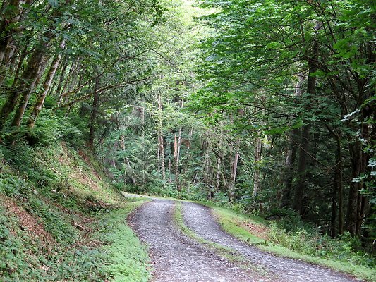 Medford rd Skagit county - 44