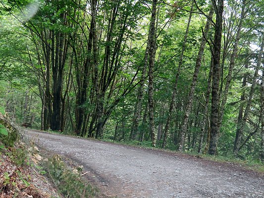 Medford rd Skagit county - 32