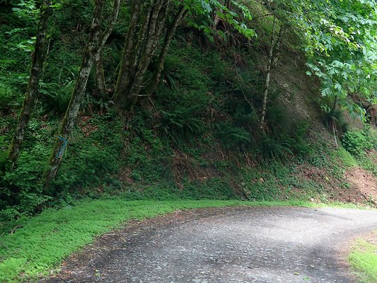 Medford rd Skagit county - 38