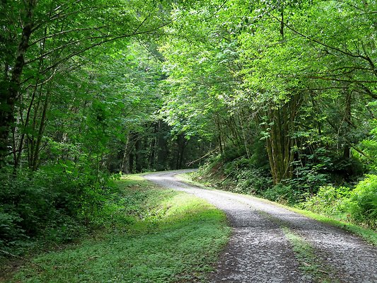 Medford rd Skagit county - 9