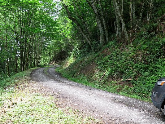 Medford rd Skagit county - 14