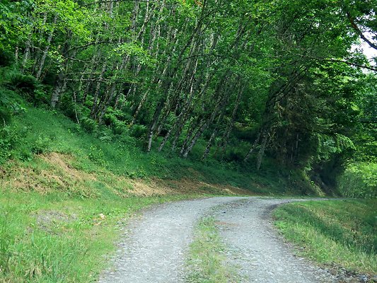 Medford rd Skagit county - 27