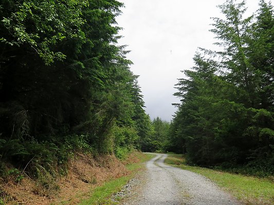 Medford rd Skagit county - 6