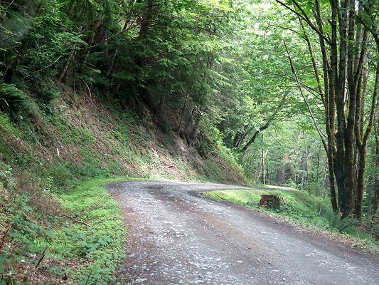 Medford rd Skagit county - 33
