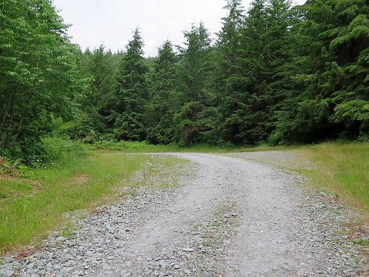 Medford Rd Skagit County Concrete