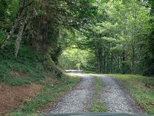 Medford rd Skagit county - 28