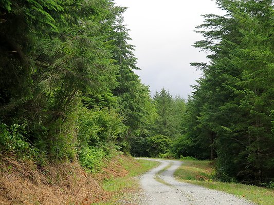 Medford rd Skagit county - 7