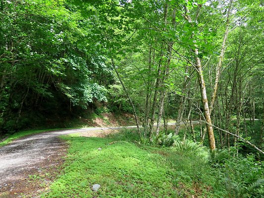 Medford rd Skagit county - 19