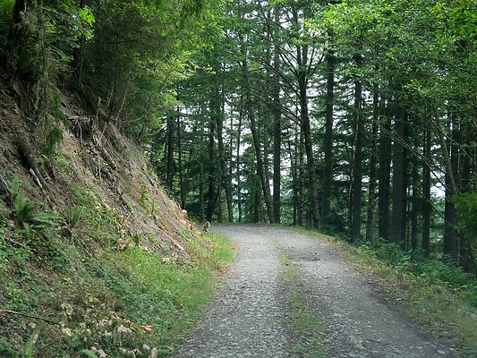 Medford rd Skagit county - 31