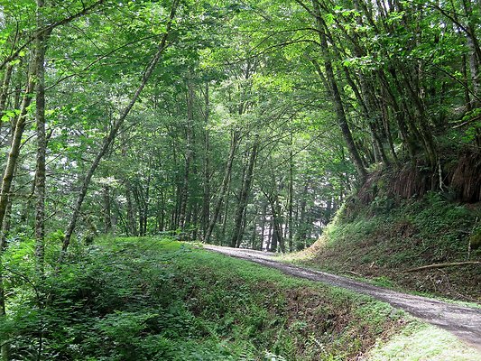 Medford rd Skagit county - 11