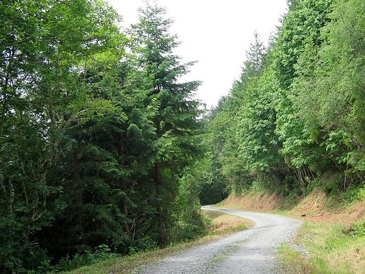 Medford rd Skagit county - 22