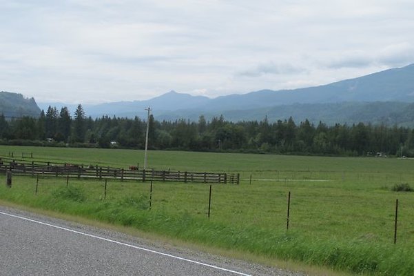Concrete Sauk Rd  (North facing)