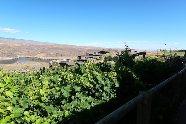 Sagecliff views - 8 Sagecliff views - 8