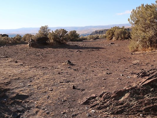 Frenchmans Coulee Feathers WDFW 2025 - 28 Frenchmans Coulee Feathers WDFW 2025 - 28