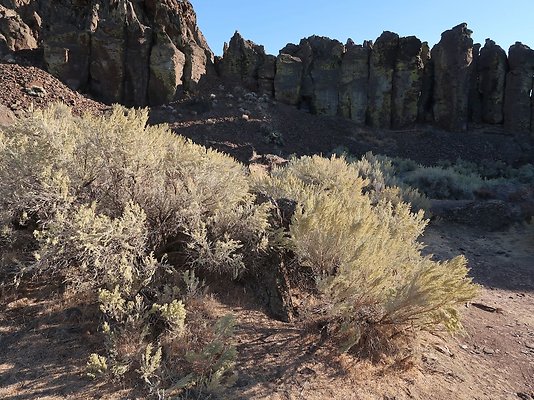 Frenchmans Coulee Feathers WDFW 2025 - 16 Frenchmans Coulee Feathers WDFW 2025 - 16