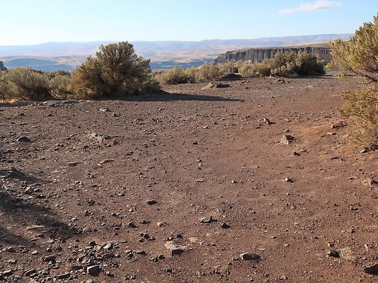 Frenchmans Coulee Feathers WDFW 2025 - 31 Frenchmans Coulee Feathers WDFW 2025 - 31