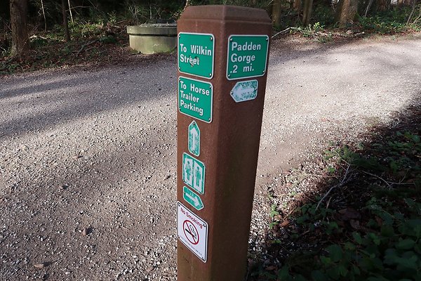 Lake Padden Park Bellingham - 13 Lake Padden Park Bellingham - 13