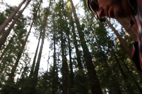 Lake Padden Park Bellingham - 42 Lake Padden Park Bellingham - 42