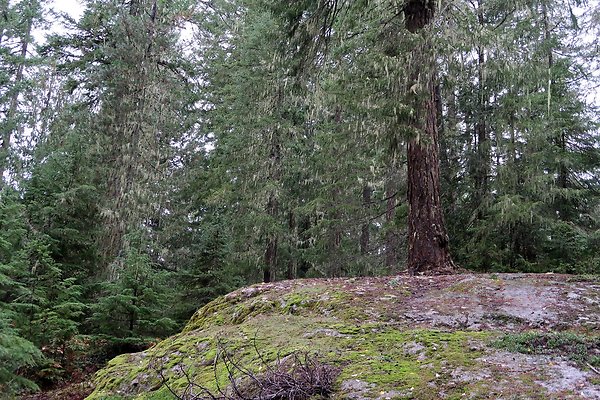 Kachess Lake 2024 - 53