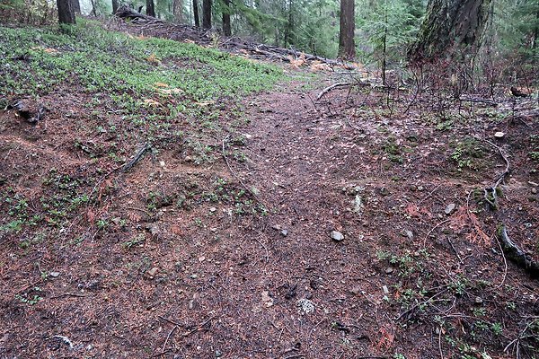 Kachess Lake 2024 - 49