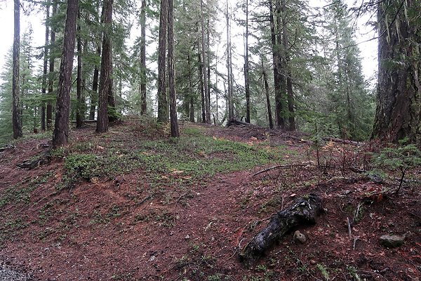 Kachess Lake 2024 - 51