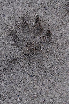 Kachess Lake 2024 - 24