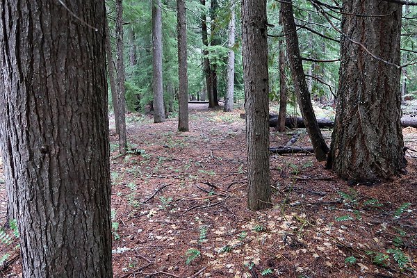 Kachess Lake 2024 - 54