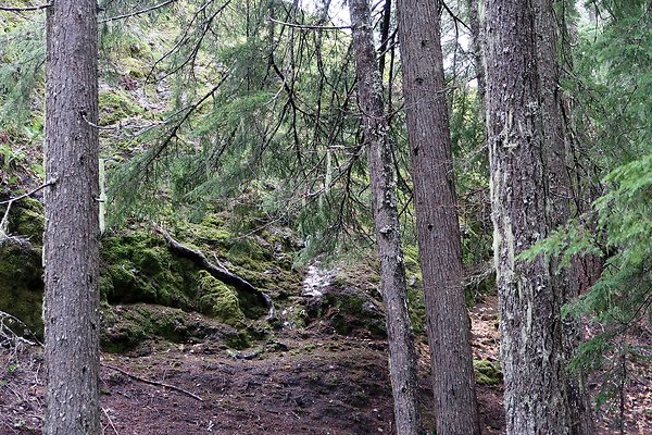 Kachess Lake 2024 - 60