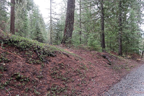 Kachess Lake 2024 - 48