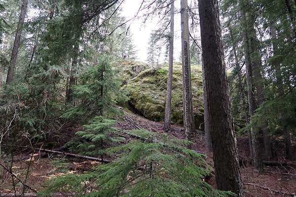 Kachess Lake 2024 - 56