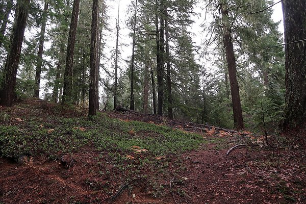 Kachess Lake 2024 - 50