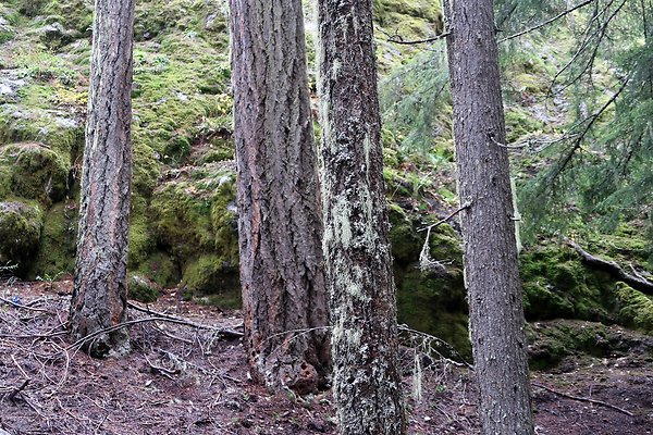 Kachess Lake 2024 - 59