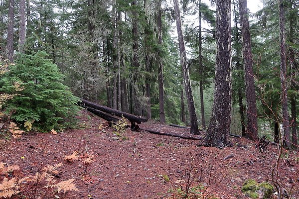 Kachess Lake 2024 - 38