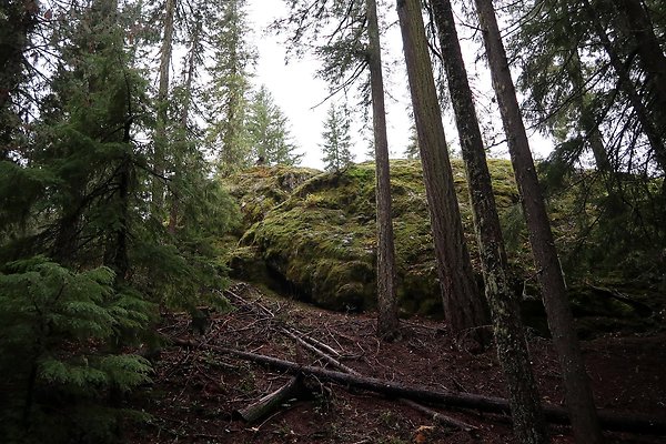 Kachess Lake 2024 - 57