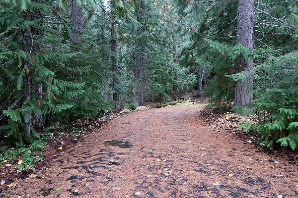 Kachess Lake 2024 - 37