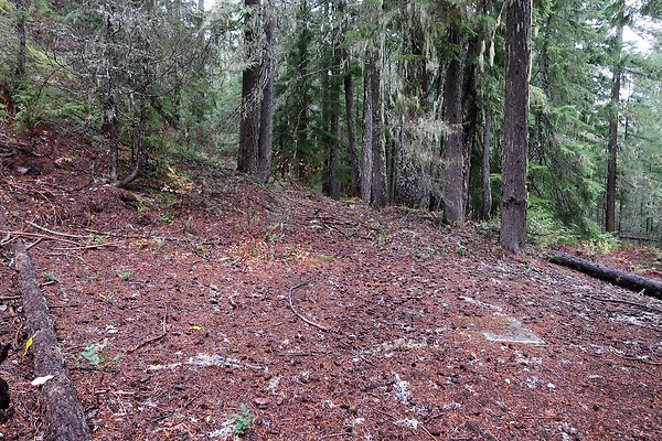 Kachess Lake 2024 - 39