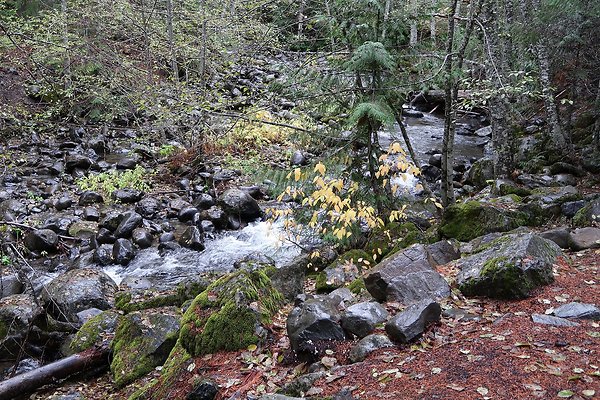 Kachess Lake 2024 - 3