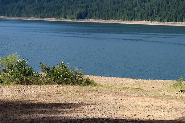 DryCreek2023 - 11 DryCreek2023 - 11