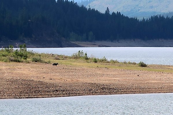 DryCreek2023 - 21 DryCreek2023 - 21