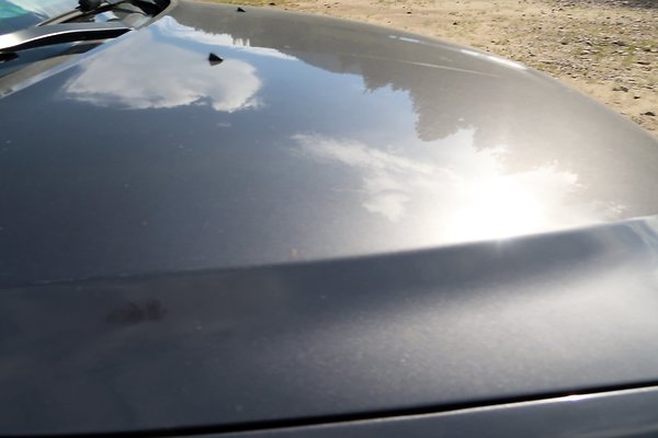 DryCreek2023 - 45 DryCreek2023 - 45