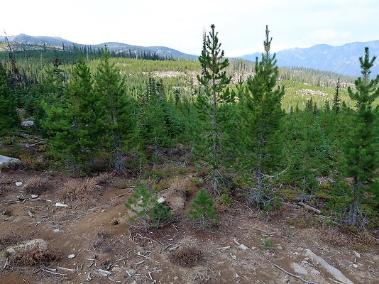 Alpine Lakes High Camp Sept 2025 - 119 copy