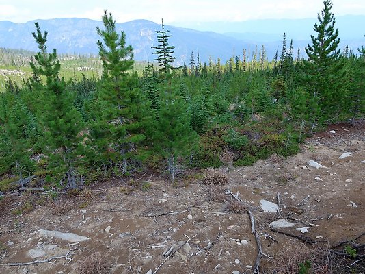 Alpine Lakes High Camp Sept 2025 - 121 copy