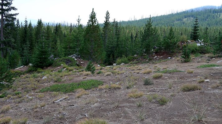 Alpine Lakes High Camp Sept 2025 - 103 copy