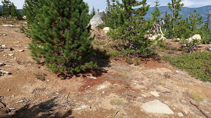 Alpine Lakes High Camp Sept 2025 - 107 copy