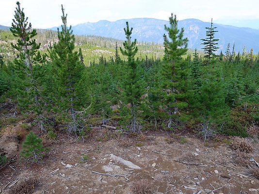 Alpine Lakes High Camp Sept 2025 - 120 copy