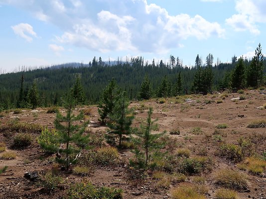 Alpine Lakes High Camp Sept 2025 - 126 copy
